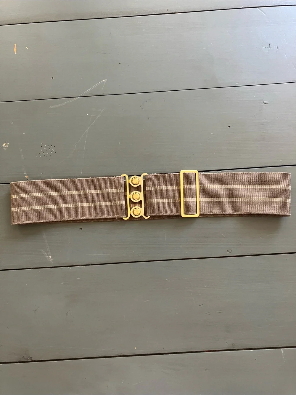 H&M Y2K Style Wide Brown Striped Stretch Elastic Belt Interlocking “Gold” Buckle